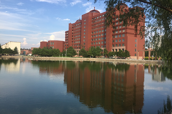 學校質(zhì)感仿磚外墻裝飾裝修效果圖